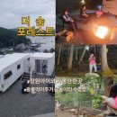 THE 숨 FOREST 이미지