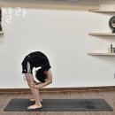 문래초등학교 | 영등포구 문래동3가 요가 요가샬라 가격 오시는길 후기