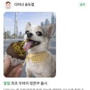 큰손가요광장 | 술지옥에 빠졌습니다 🍺🥹