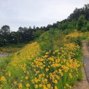 여주 인근 남한강변 남한강조망 토지매매, 멋진 공원 포함 이미지