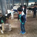 금와농장 이미지