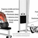 jkj 헬스 이미지