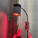 연세디딤정형외과의원 이미지