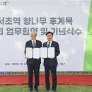 서초법조타운 이미지