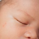 빈지노 카카오 검색결과