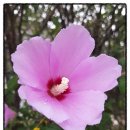 무궁화공업사 이미지