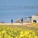 계화도마을 이미지