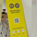모전로 | 부산 원정 수영장 추천 정관 아쿠아드림파크 자유수영 일일입장 후기