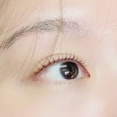 진뷰티 | [분당 서현역] 진뷰티에서 속눈썸펌 받은 후기~