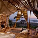 대나무집 이미지