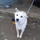 쌍림면 노인회관 이미지