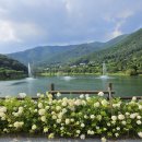 동구리호수공원잔디광장 이미지