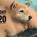 코인놀이터 이미지