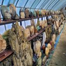 호수모텔 이미지