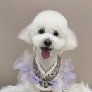 온레스트그루밍 이미지