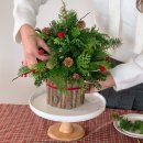 미소나무태권도장(줄기관) | [기관 기업 출강] 2025 크리스마스 토분트리 &amp; 콘트리 원데이 클래스 출강 후기 - 교직원 &amp; 시민 연수...