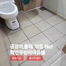 화전 우방아이유쉘 | 곰팡이·물때 걱정 끝! 부산 화전동 화전우방아이유쉘 폴리우레아 줄눈시공