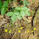 용암천2 이미지