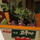 여주-0107 이미지