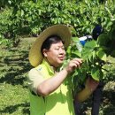 김용환농장 이미지