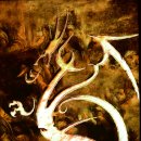 팀 드래곤 이미지