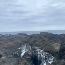 보행자전용도로 1040-0 | 호주 시드니 울릉공 투어｜소그룹으로 떠나는 당일치기 근교 여행 추천 코스 일정