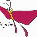 꼬리연구소 이미지