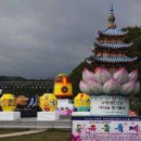 전남 순천시 석현동 동천변 유동축제. 이미지