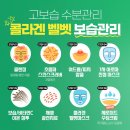 연세미타임피부과의원 이미지