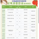 자연과식물원예연구소 | 도시농업관리사 자격증 양성과정🌿 힐링 원예 수업 &amp; 체험 후기 (이현숙 강사)