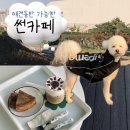 예림애견용품 아울렛 | 의왕 썬카페 백운호수 근처 의왕 타임빌라스 롯데프리미엄아울렛 애견동반 가능 카페