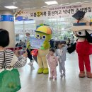 제주프렌즈 이미지