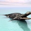 사르코수쿠스 이미지