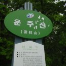 미룡 이미지