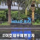 광령초등학교 | [제주 이호테우 해변포차] 2박 3일 한여름 뚜벅이 제주 여행의 목적(feat. 유튜버 윤제주삶)