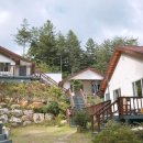 야생화정원펜션민박 이미지