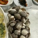 미향식당 이미지