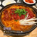 4672 | 안성 맛집｜돈까스가 맛있는 오막골 솔직후기! 오므라이스 추천(메뉴, 주차)