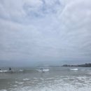 표선] 제주도 서핑 강습 중 초보/입문자 추천! 표선서핑스쿨 아키아서프 (+준비물, 후기, 강습시간 등)