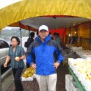 안정초등학교 이미지