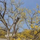 연인의길 화장실 이미지