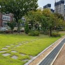 부광여자고등학교 이미지