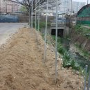 이중인 묘 이미지