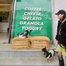 남이섬설리조트1 이미지