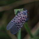 아이그린공원 이미지