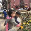 하촌어린이공원 이미지