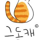 금고양이 이미지