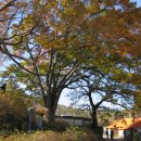 설천 기곡 호롱불마을 | 산촌생태마을④ 정이있어 지친마음 쉬어가는 고향마을 무주 설천 &#39;호롱불마을&#39;