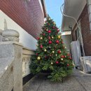 신동동사무소 | [수원] 수원 행궁동 분위기 맛집 스테이크 파스타 맛집 운멜로 내돈내산