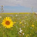 종합행정사 이미지